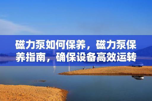磁力泵如何保养，磁力泵保养指南，确保设备高效运转的秘诀