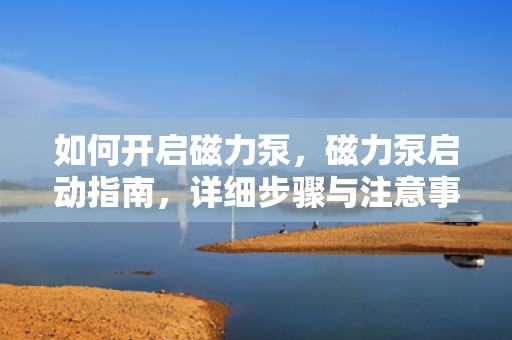 如何开启磁力泵，磁力泵启动指南，详细步骤与注意事项
