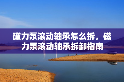 磁力泵滚动轴承怎么拆，磁力泵滚动轴承拆卸指南