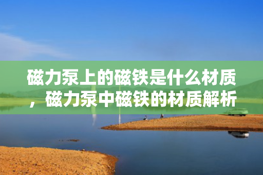 磁力泵上的磁铁是什么材质，磁力泵中磁铁的材质解析