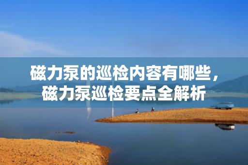 磁力泵的巡检内容有哪些，磁力泵巡检要点全解析
