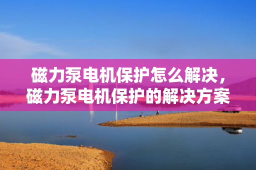 磁力泵电机?；ぴ趺唇饩?，磁力泵电机?；さ慕饩龇桨? title=