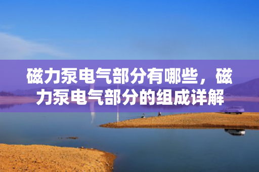 磁力泵电气部分有哪些，磁力泵电气部分的组成详解