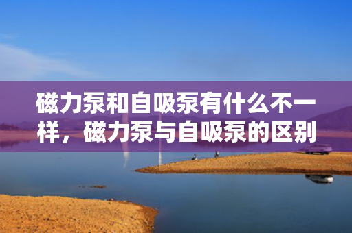磁力泵和自吸泵有什么不一样，磁力泵与自吸泵的区别解析