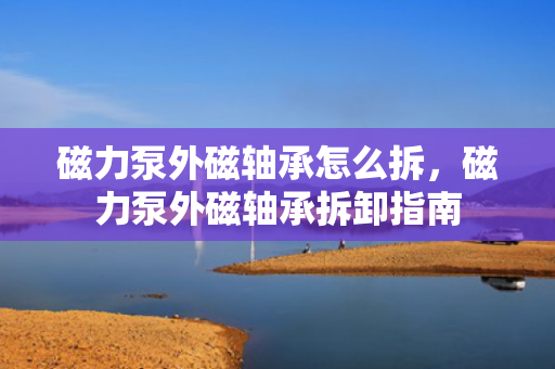 磁力泵外磁轴承怎么拆，磁力泵外磁轴承拆卸指南