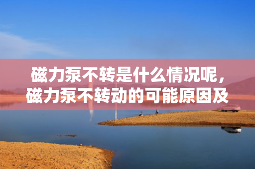 磁力泵不转是什么情况呢，磁力泵不转动的可能原因及解决方法