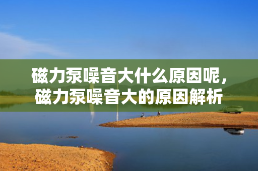 磁力泵噪音大什么原因呢，磁力泵噪音大的原因解析