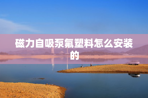 磁力自吸泵氟塑料怎么安装的
