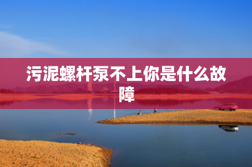 污泥螺杆泵不上你是什么故障