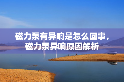 磁力泵有异响是怎么回事，磁力泵异响原因解析