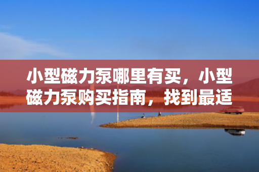 小型磁力泵哪里有买，小型磁力泵购买指南，找到最适合你的购买渠道