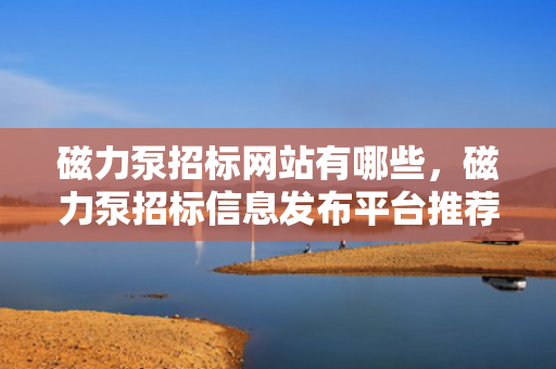 磁力泵招标网站有哪些，磁力泵招标信息发布平台推荐
