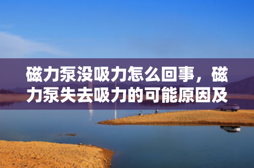 磁力泵没吸力怎么回事，磁力泵失去吸力的可能原因及解决方法