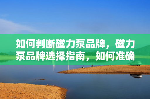 如何判断磁力泵品牌，磁力泵品牌选择指南，如何准确判断磁力泵的品质与可靠性