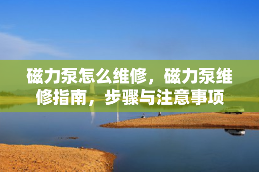磁力泵怎么维修，磁力泵维修指南，步骤与注意事项