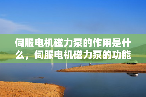 伺服电机磁力泵的作用是什么，伺服电机磁力泵的功能及作用解析