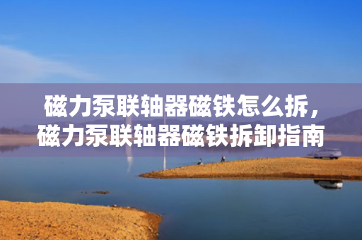 磁力泵联轴器磁铁怎么拆，磁力泵联轴器磁铁拆卸指南