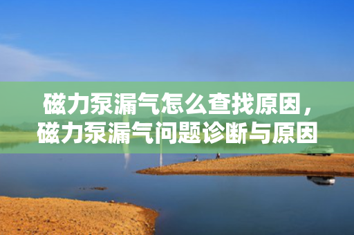 磁力泵漏气怎么查找原因，磁力泵漏气问题诊断与原因查找方法