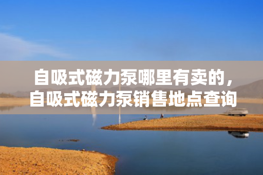 自吸式磁力泵哪里有卖的，自吸式磁力泵销售地点查询
