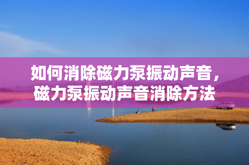 如何消除磁力泵振动声音，磁力泵振动声音消除方法