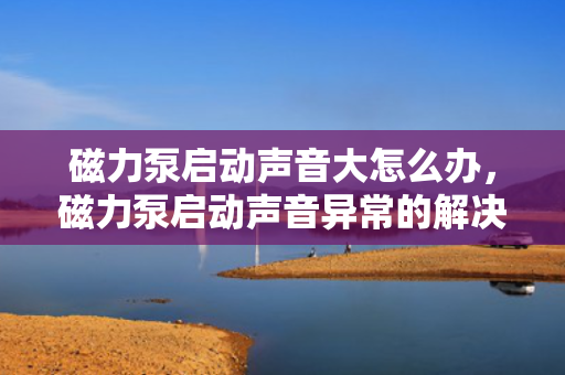 磁力泵启动声音大怎么办，磁力泵启动声音异常的解决方法