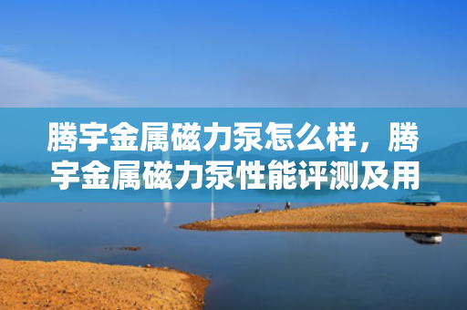 腾宇金属磁力泵怎么样，腾宇金属磁力泵性能评测及用户反馈