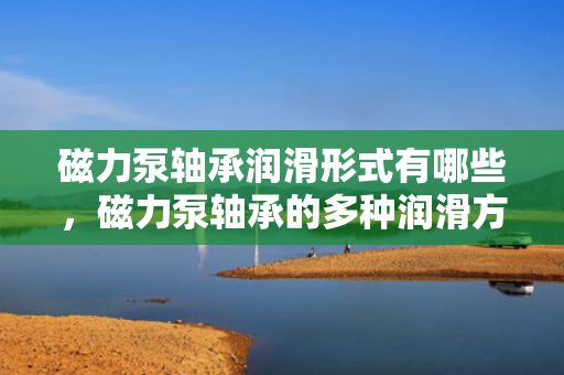 磁力泵轴承润滑形式有哪些，磁力泵轴承的多种润滑方式解析
