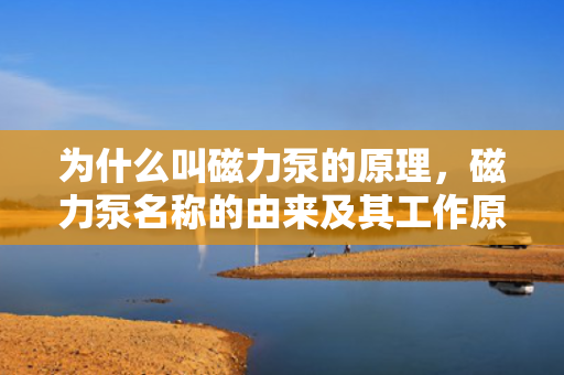 为什么叫磁力泵的原理，磁力泵名称的由来及其工作原理