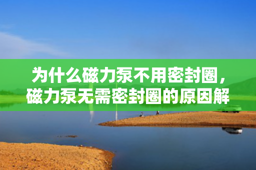 为什么磁力泵不用密封圈，磁力泵无需密封圈的原因解析