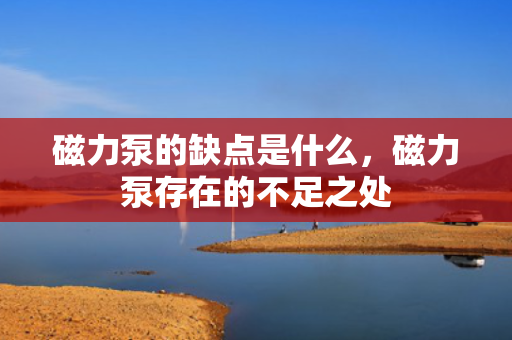 磁力泵的缺点是什么，磁力泵存在的不足之处