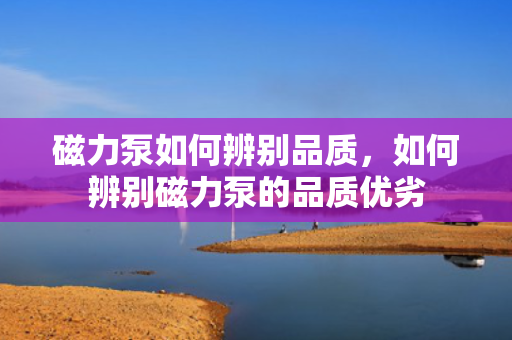 磁力泵如何辨别品质，如何辨别磁力泵的品质优劣