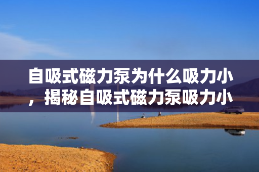 自吸式磁力泵为什么吸力小，揭秘自吸式磁力泵吸力小的原因