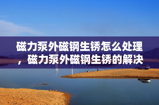 磁力泵外磁钢生锈怎么处理，磁力泵外磁钢生锈的解决方法