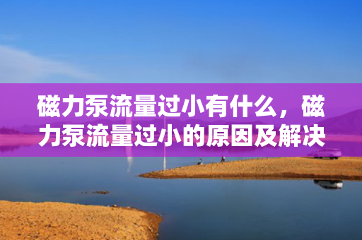 磁力泵流量过小有什么，磁力泵流量过小的原因及解决方法