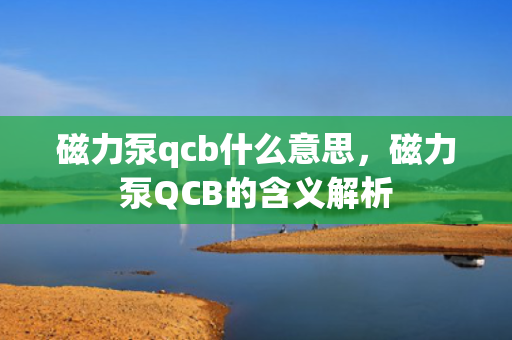 磁力泵qcb什么意思，磁力泵QCB的含义解析