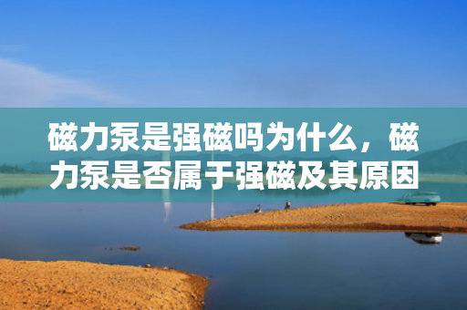 磁力泵是强磁吗为什么，磁力泵是否属于强磁及其原因解析