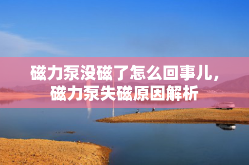 磁力泵没磁了怎么回事儿，磁力泵失磁原因解析