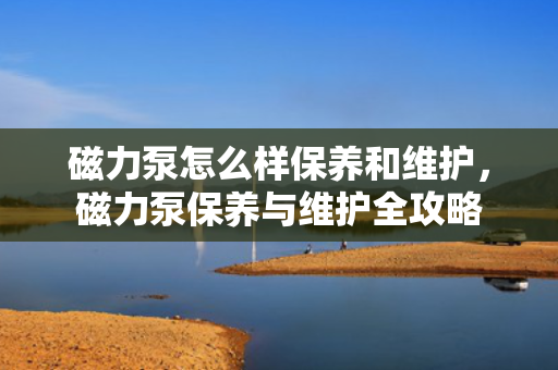 磁力泵怎么样保养和维护，磁力泵保养与维护全攻略
