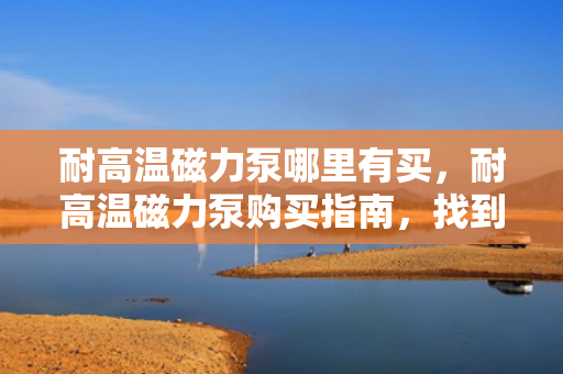 耐高温磁力泵哪里有买，耐高温磁力泵购买指南，找到最适合你的供应商