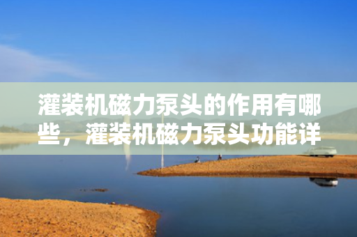 灌装机磁力泵头的作用有哪些，灌装机磁力泵头功能详解，提升效率与精度的关键组件