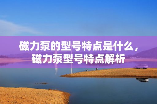 磁力泵的型号特点是什么，磁力泵型号特点解析