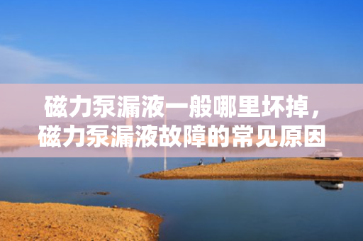 磁力泵漏液一般哪里坏掉，磁力泵漏液故障的常见原因及维修要点