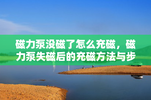 磁力泵没磁了怎么充磁，磁力泵失磁后的充磁方法与步骤