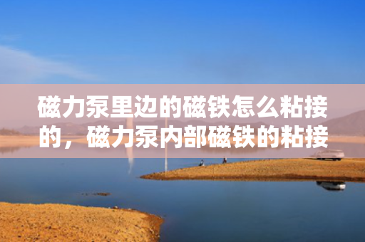 磁力泵里边的磁铁怎么粘接的，磁力泵内部磁铁的粘接方法与技巧
