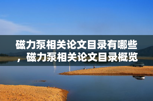 磁力泵相关论文目录有哪些，磁力泵相关论文目录概览