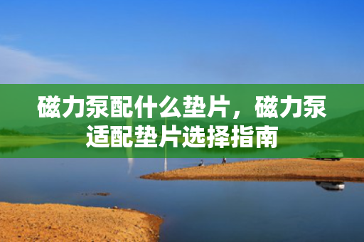 磁力泵配什么垫片，磁力泵适配垫片选择指南