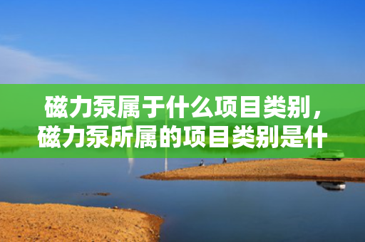 磁力泵属于什么项目类别，磁力泵所属的项目类别是什么？