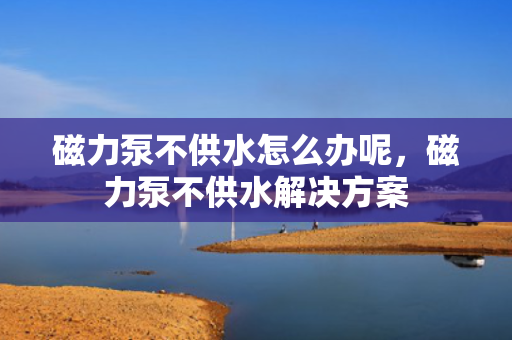 磁力泵不供水怎么办呢，磁力泵不供水解决方案