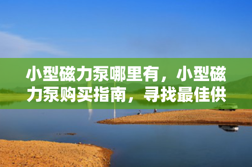 小型磁力泵哪里有，小型磁力泵购买指南，寻找最佳供应渠道