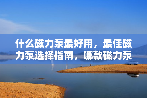 什么磁力泵最好用，最佳磁力泵选择指南，哪款磁力泵最好用？
